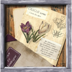 Interrupteur décoré crocus - Interrupteur simple