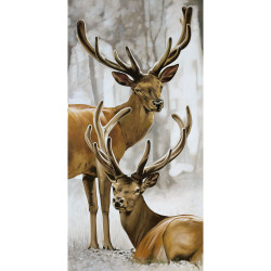 Couple de cerf - 90x45