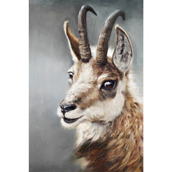Tableau jeune chamois de megève - 40x60